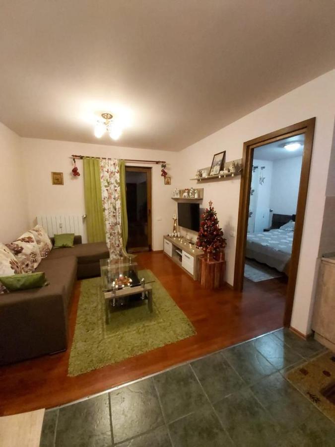 Andra Apartment Sinaia Exterior foto