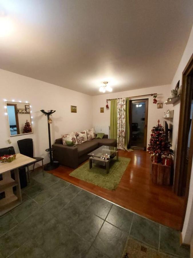 Andra Apartment Sinaia Exterior foto